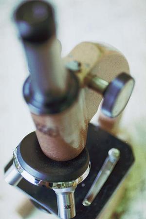 堺市でおすすめの歯医者について