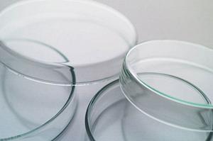 大和市にあるおすすめの歯科クリニック