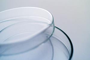 仙台で土日も受診可能！精神科でストレスケアをしっかりサポート