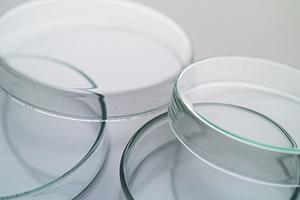 本庄市の審美歯科をご紹介します