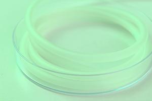 勝どきで子供も安心！耳鼻科の選び方と通いやすいおすすめクリニック