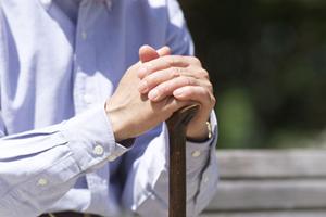 ハイエンドの歯科技術を提供してくれます