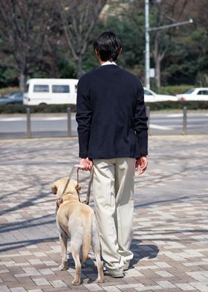 香川の歯科医院でのインプラント治療