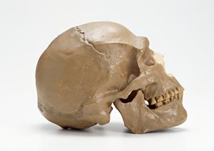 富谷市たかはし歯科・矯正歯科クリニック