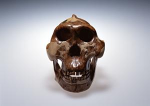 大分県中津市で人気を呼ぶ歯医者