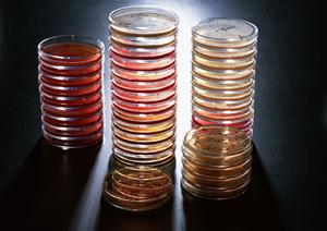 板橋区の病院のコロンハイドロセラピーで腸を綺麗に