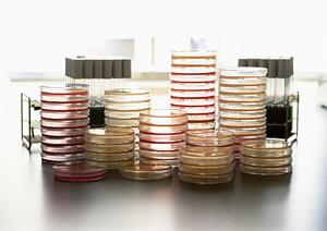 安佐南で歯医者選びをする際の注意点