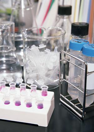 歯科麻酔科にも対応している歯医者